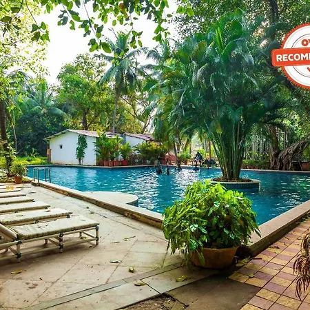 Hotel Oyo Flagship 14391 Calangute Eden Garden
